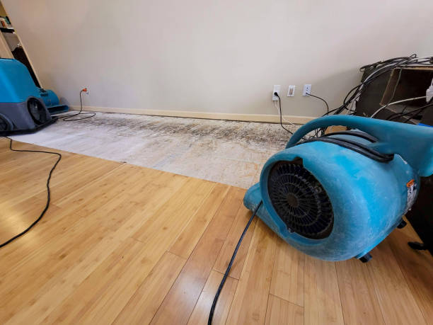 Professional Sewage Cleanup technician working in Mount Desert, ME